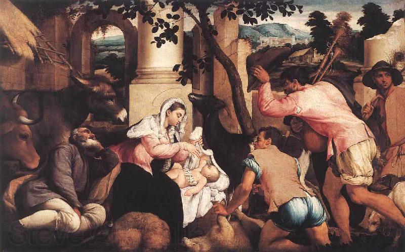 Jacopo Bassano The Adoration of the Shepherds Norge oil painting art